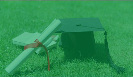 培訓與發(fā)展